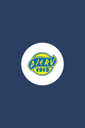 Djerv 1919