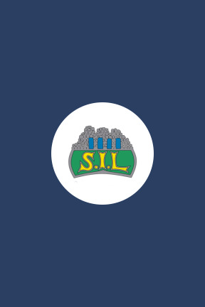 Storhamar